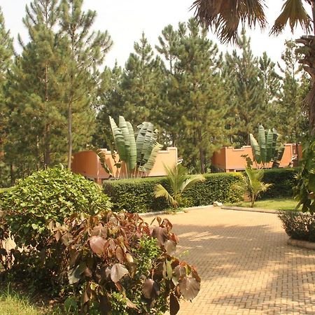 Saltek Forest Cottages Masindi Εξωτερικό φωτογραφία