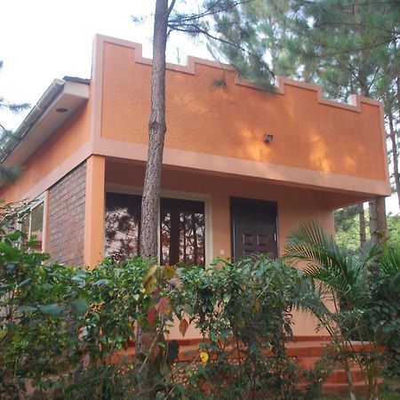 Saltek Forest Cottages Masindi Εξωτερικό φωτογραφία