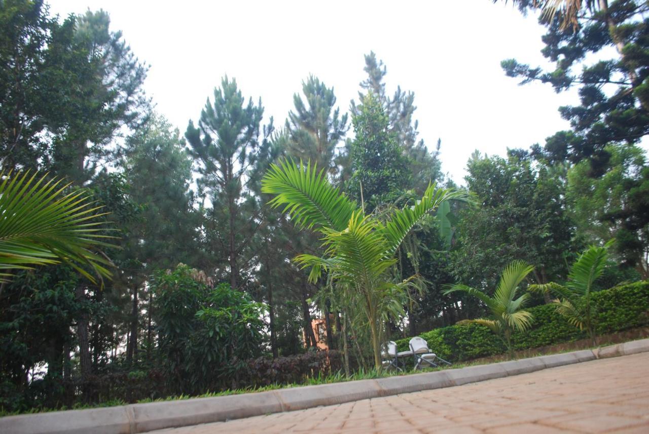 Saltek Forest Cottages Masindi Εξωτερικό φωτογραφία