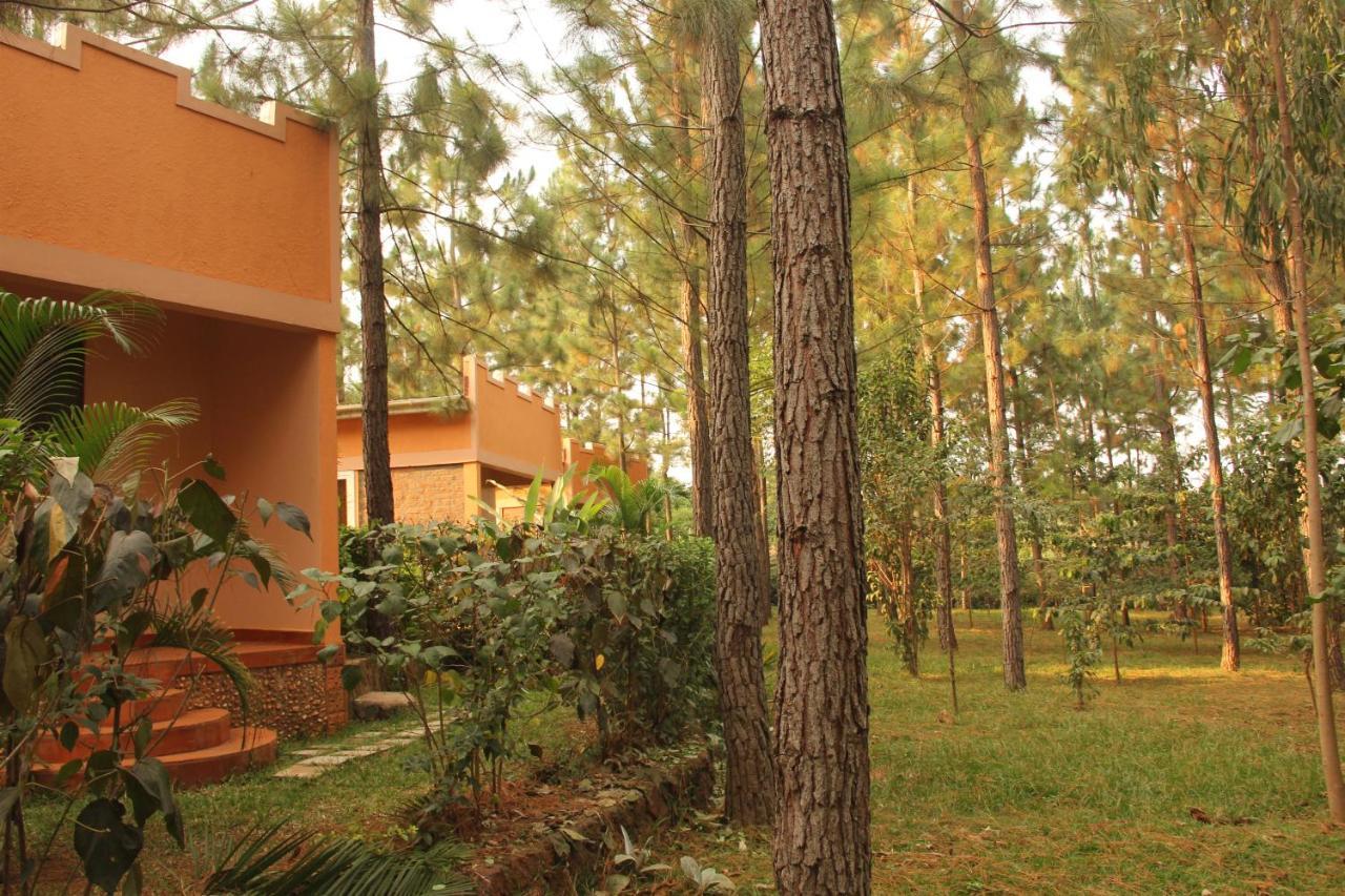 Saltek Forest Cottages Masindi Εξωτερικό φωτογραφία