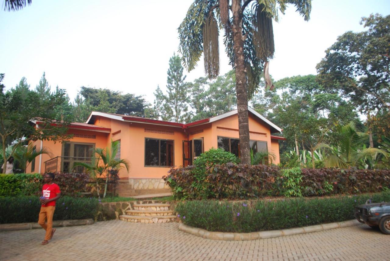 Saltek Forest Cottages Masindi Εξωτερικό φωτογραφία