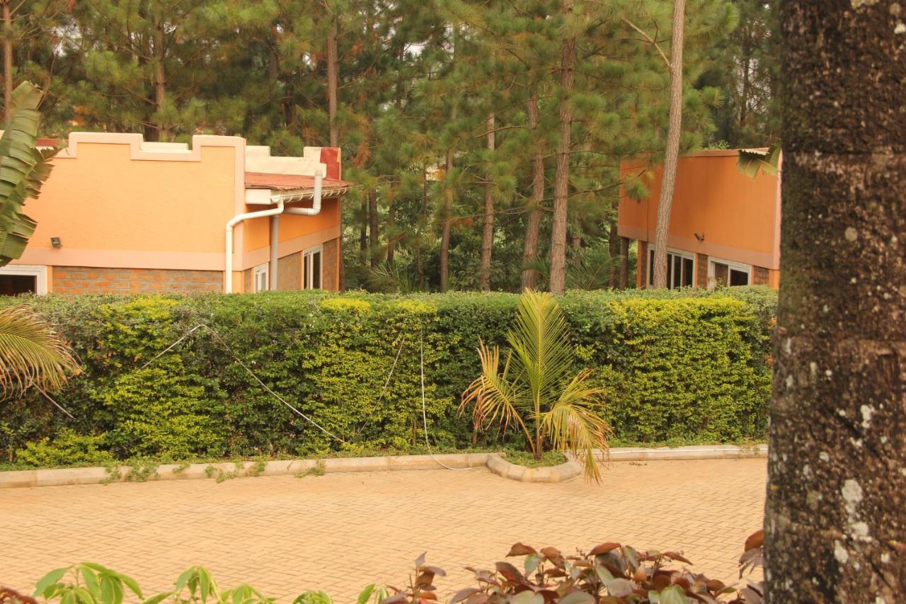 Saltek Forest Cottages Masindi Εξωτερικό φωτογραφία
