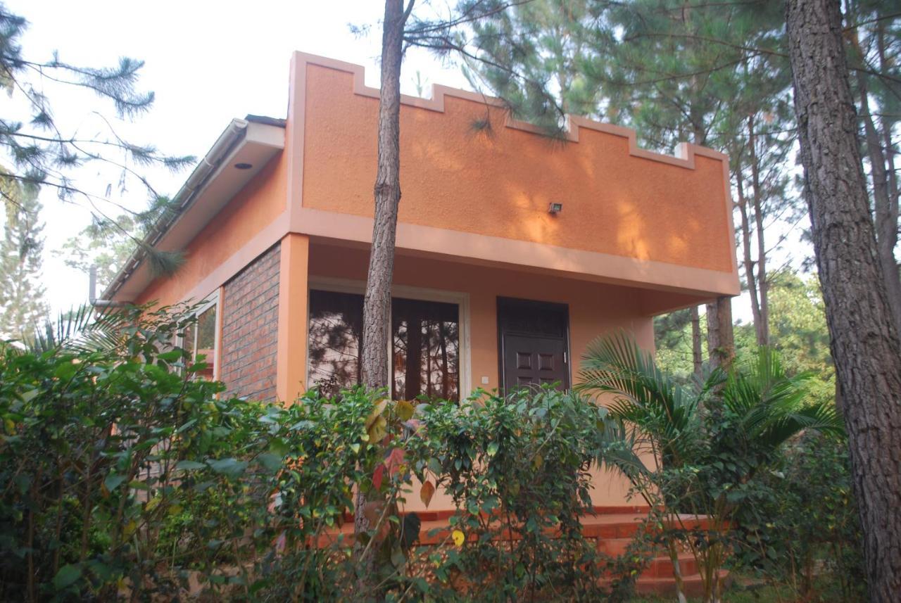 Saltek Forest Cottages Masindi Εξωτερικό φωτογραφία